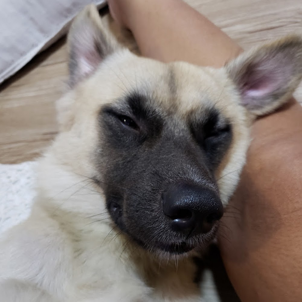Meet your Posher, Mie